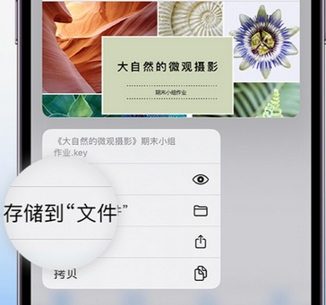 阳朔apple维修中心分享iPhone文件应用中存储和找到下载文件