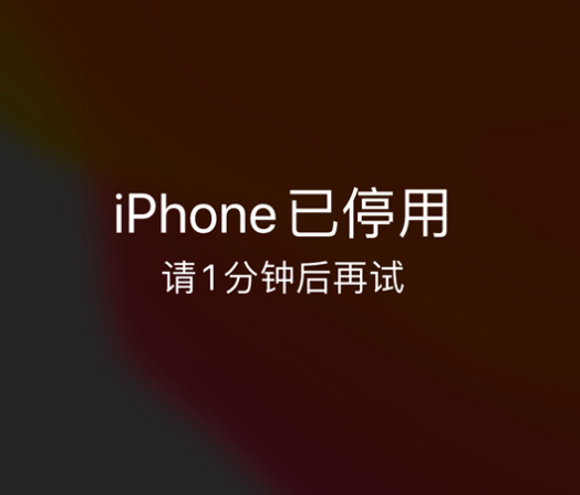 阳朔苹果手机维修分享:iPhone 显示“不可用”或“已停用”怎么办？还能保留数据吗？ 