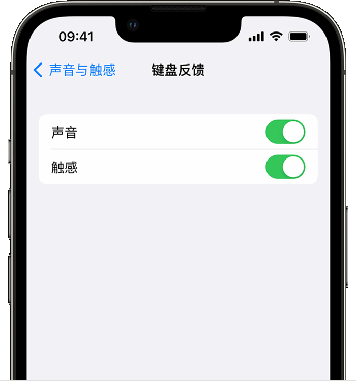 阳朔苹果14维修店分享如何在 iPhone 14 机型中使用触感键盘 