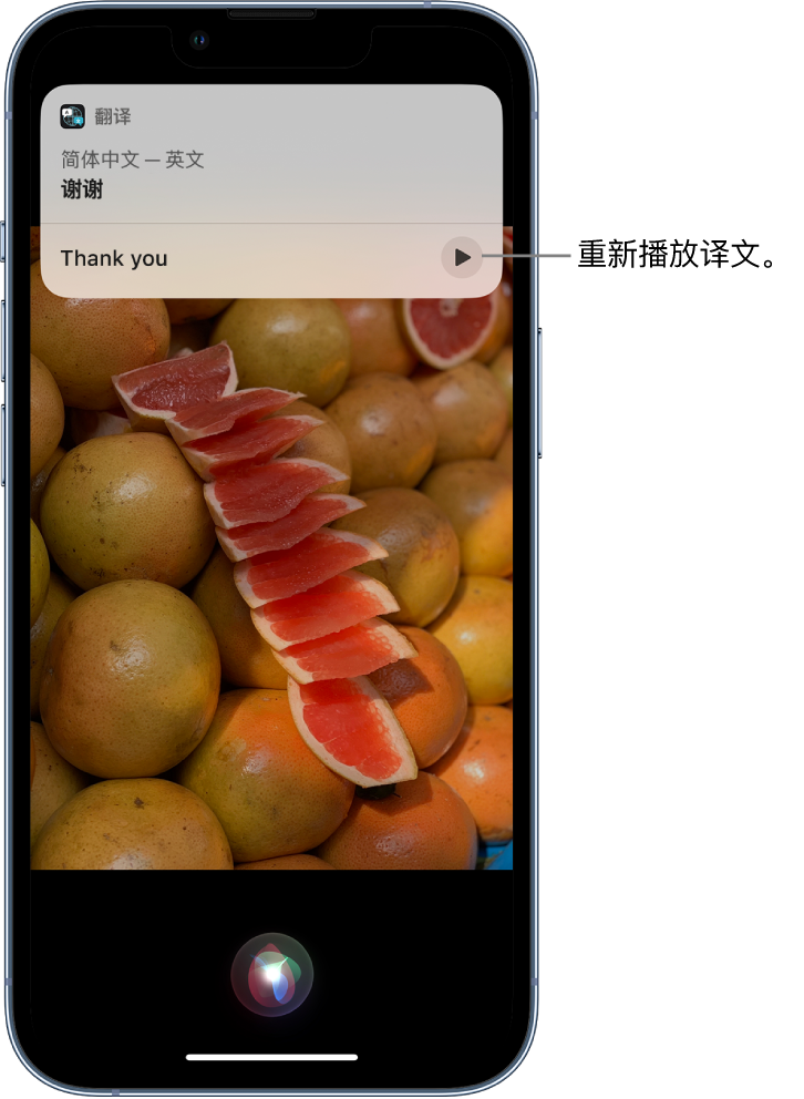 阳朔苹果14维修分享 iPhone 14 机型中使用 Siri：了解 Siri 能帮你做什么 