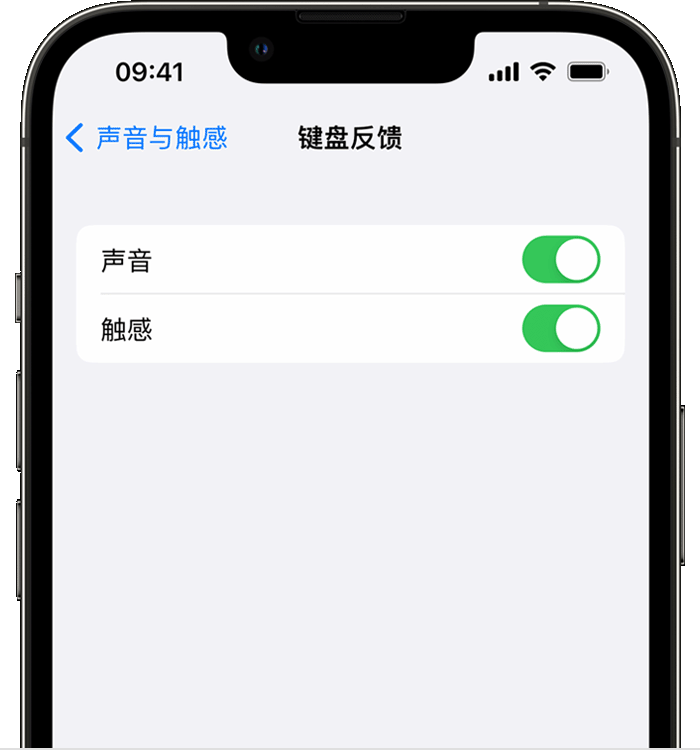 阳朔苹果14维修分享iPhone 14 系列机型如何开启键盘声音或触感反馈 