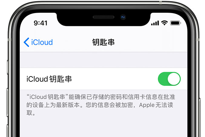 阳朔苹果手机维修分享在 iPhone 上开启 iCloud 钥匙串之后会储存哪些信息 