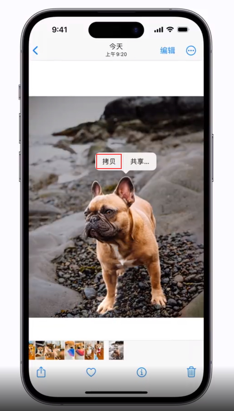 阳朔苹果手机维修分享 iOS 16 自带一键抠图功能 
