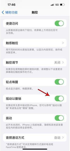 阳朔苹果手机维修分享iPhone手机如何设置摇一摇删除文字 