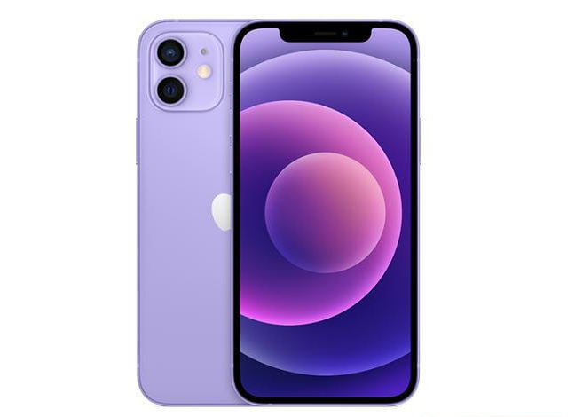 阳朔苹果手机维修分享现阶段要不要入手紫色版iPhone12 
