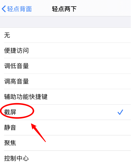 阳朔苹果手机维修分享iPhone12如何启用双击截屏 