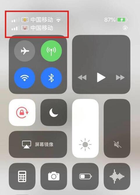 阳朔苹果手机维修分享为 iPhone 12 双卡设置标签 